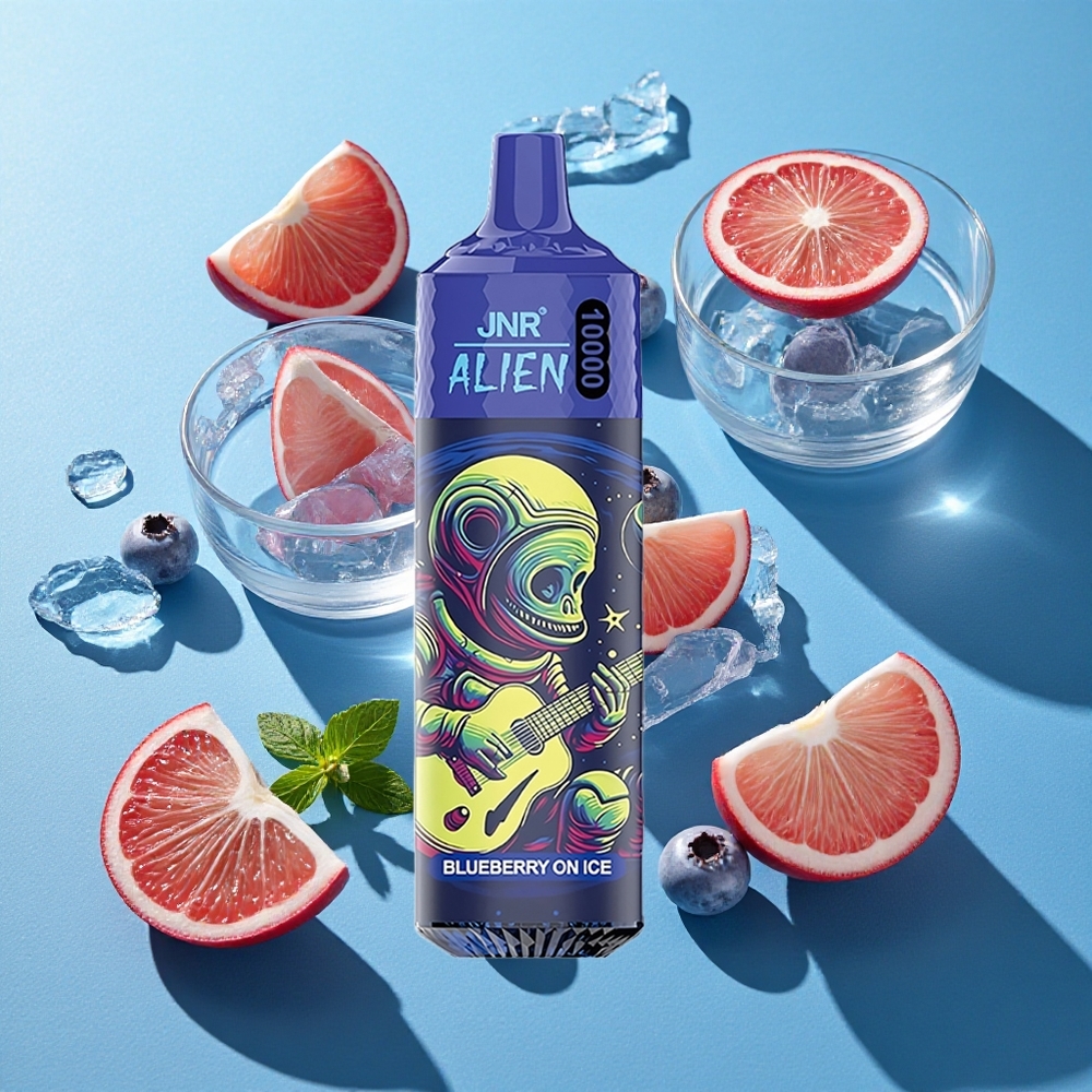 JNR Alien 10000 Puffs 850mAh Typ-C Blaubeere Eis