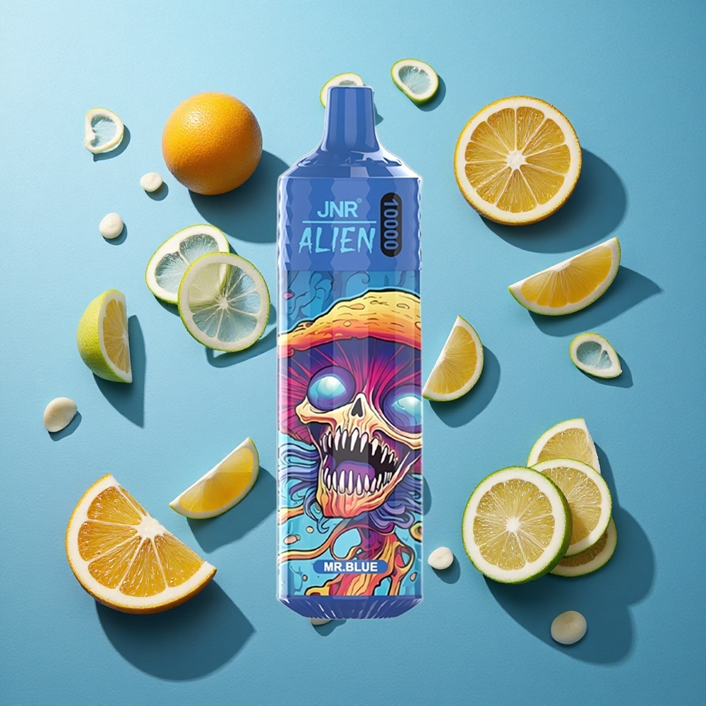 JNR Alien 10000 Puffs 850mAh Typ-C Schnellladung Herr Blau