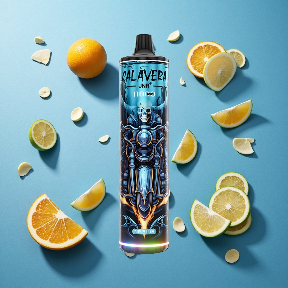 JNR Calavera 11000 Puffs Einweg-Vape Typ-C Ladung Herr Blau