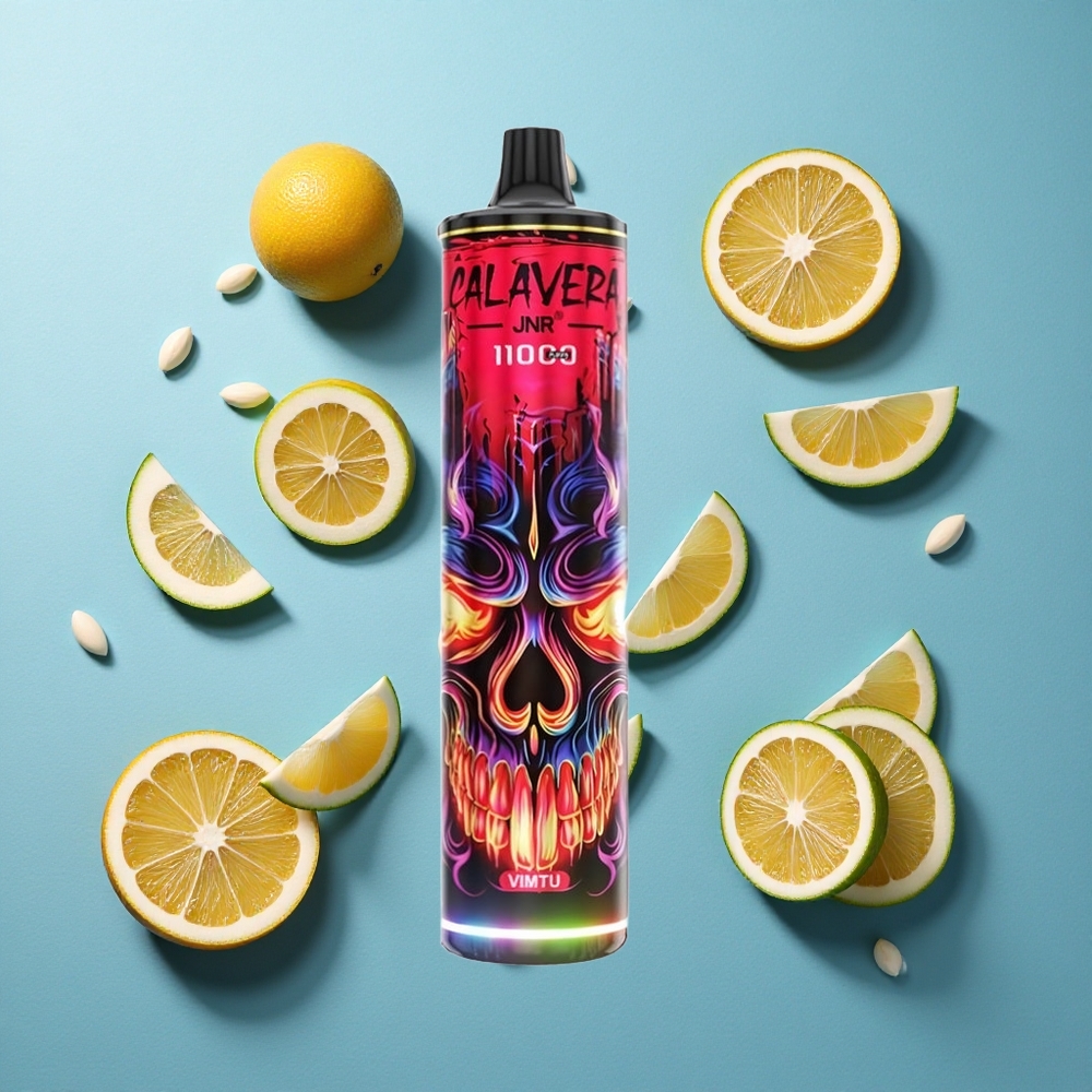 JNR Calavera 11000 Puffs Typ-C Ladung 21ml E-Liquid Einweg-Vape Vimtu