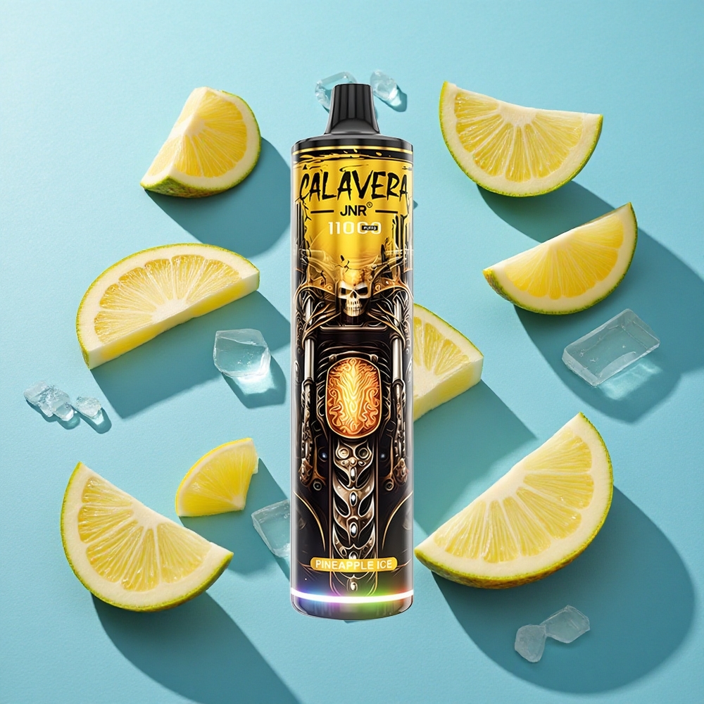 JNR Calavera 11000 Puffs Typ-C Ladung Ananas Eis