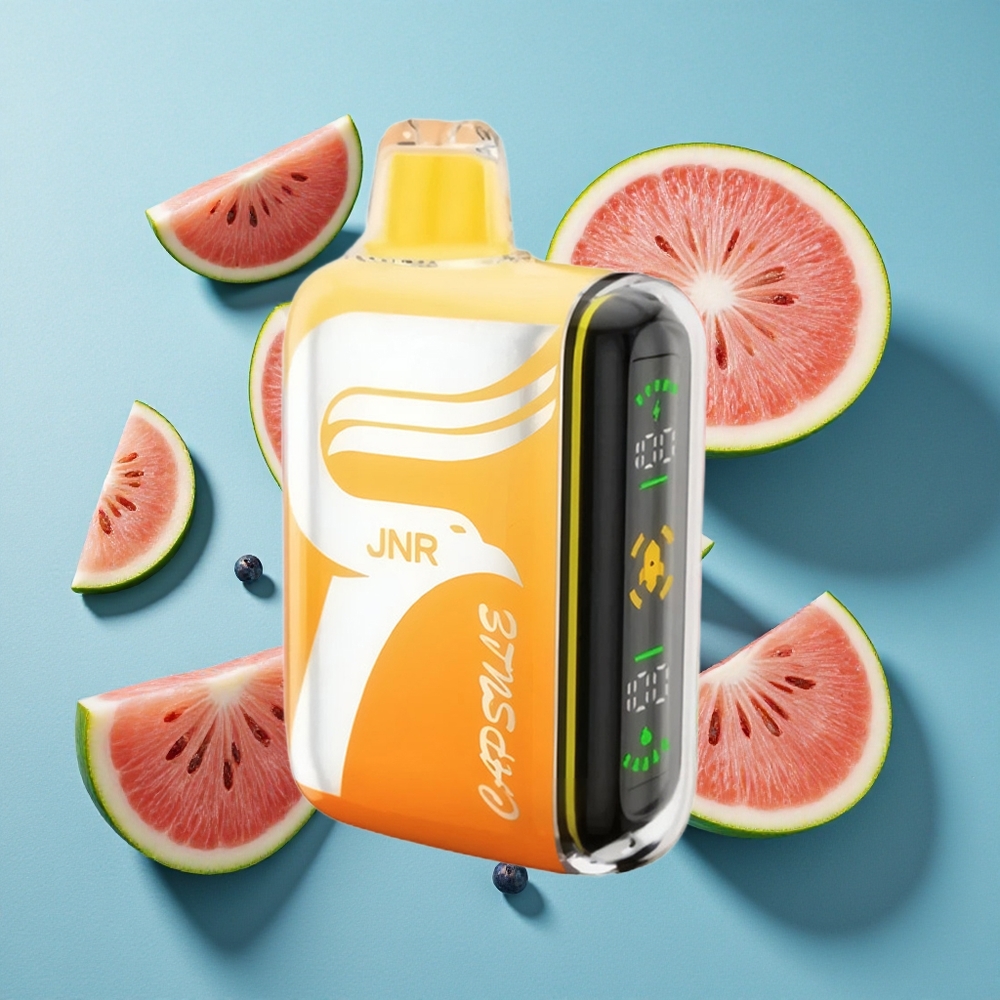 JNR Capsule 15000 Puffs Wassermelone Irchee 850mAh Dual Mesh Coil
