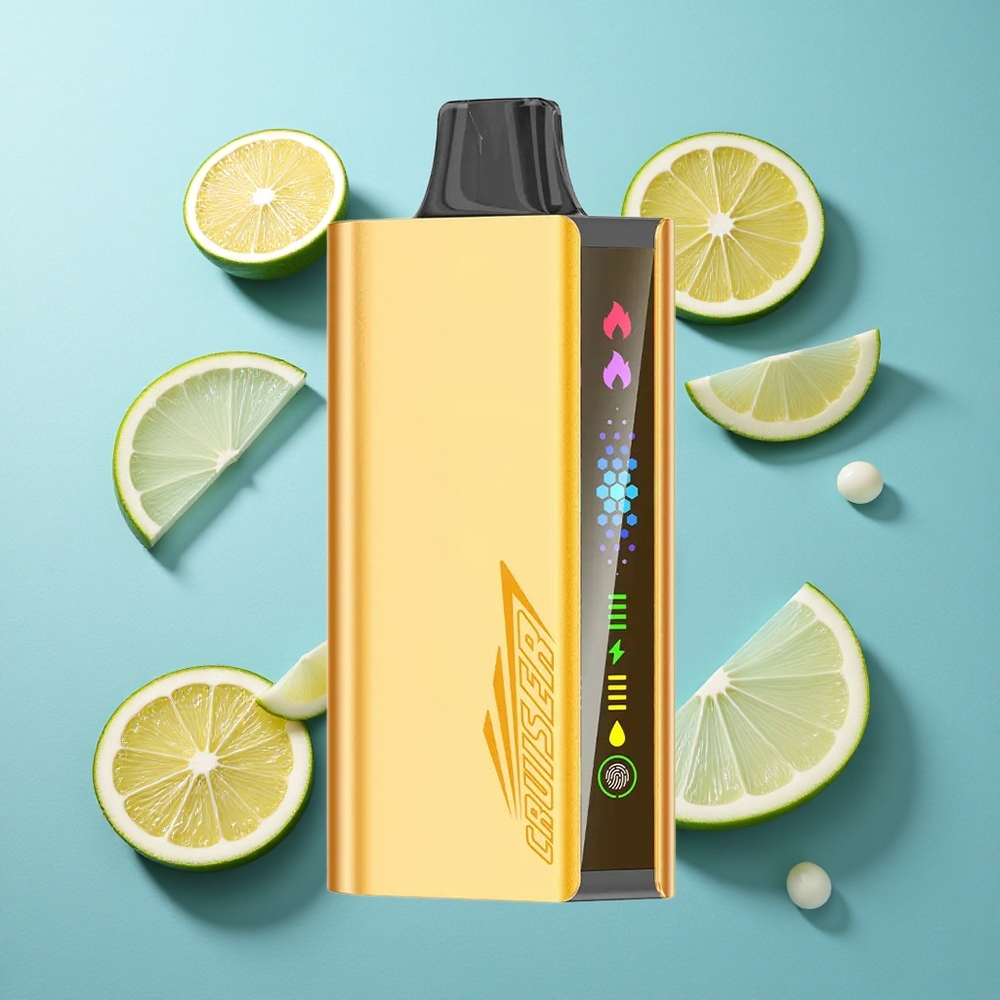 JNR Cruiser 12000 Puffs Kühle Minze No-Charge Wegwerf-Vape mit 3500-mAh-Batterie