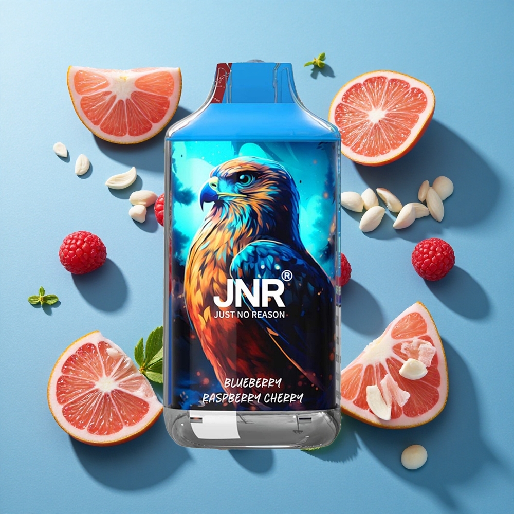 JNR Falcon 16000 Puffs 850 mAh Blaubeere Himbeere Kirsche
