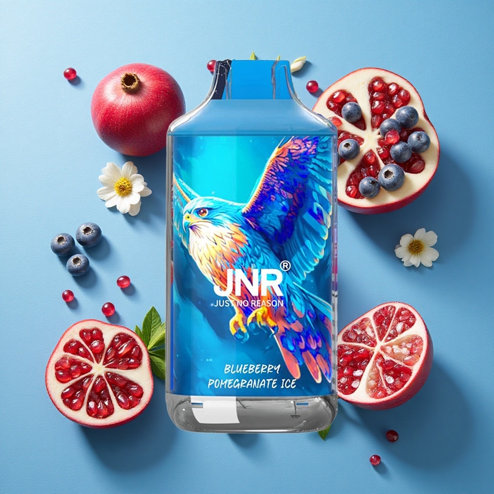 JNR Falcon 16000 Puffs Blaubeere Granatapfel Eis mit 22ml E-Liquid und Dual-Mesh-Coil