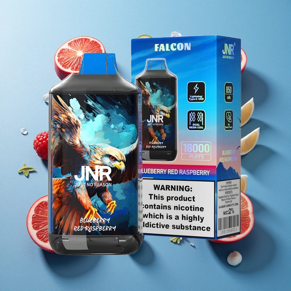 JNR Falcon 16000 Puffs Blaubeere Himbeere 850 mAh 22ml Dual Mesh Coil