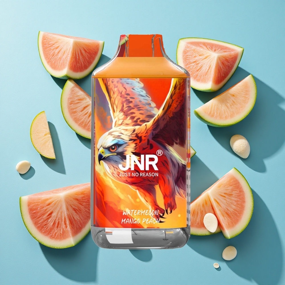 JNR Falcon 16000 Puffs Wassermelone Mango Pfirsich mit 22ml E-Liquid und Dual-Mesh-Coil