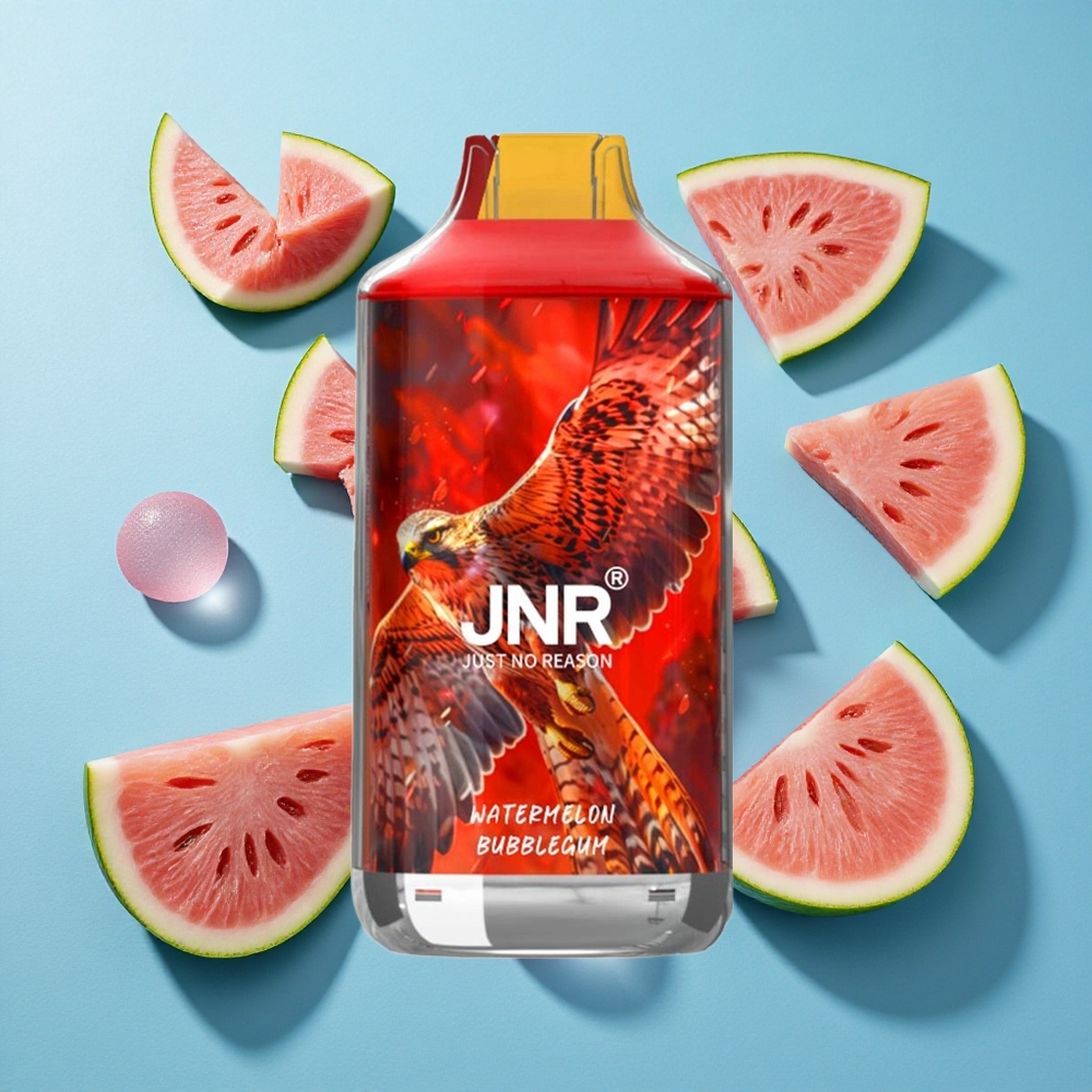 JNR Falcon 16000 Puffs Wassermelonen-Bubblegum mit 22ml E-Liquid und Dual Mesh Coil