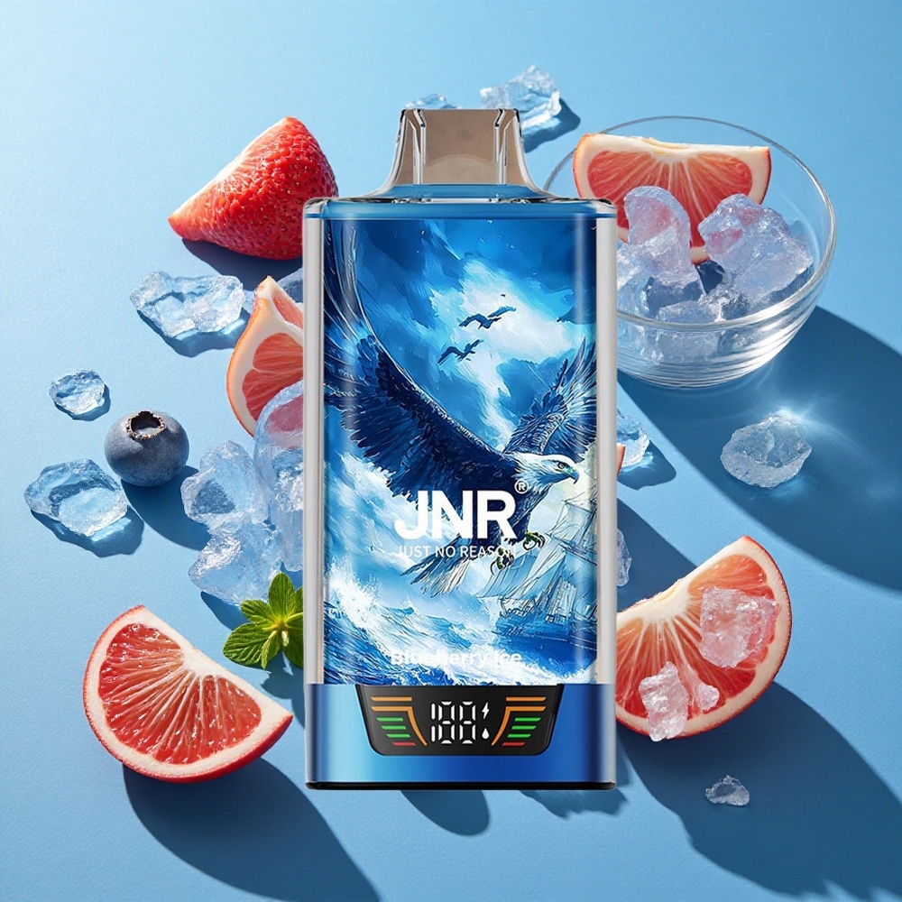 JNR Falcon Pro 28000 Wegwerf-Vape Heidelbeere-Eis mit 28000 Puffs und Smart Display