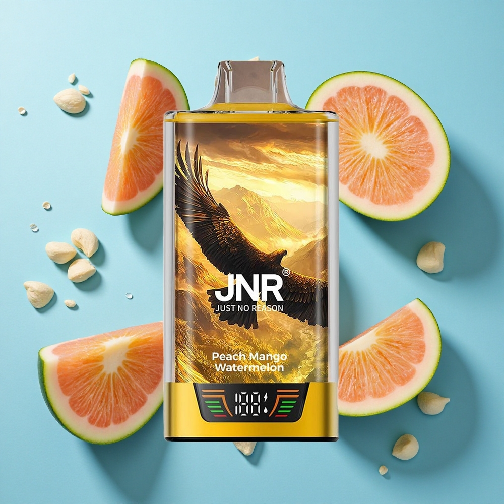 JNR Falcon Pro 28000 Wegwerf-Vape Pfirsich Mango Wassermelone mit 28000 Puffs und USB Typ-C Aufladung