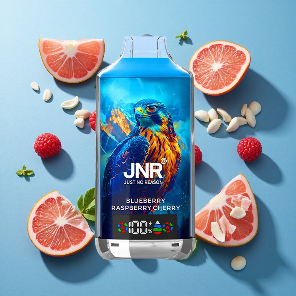 JNR Falcon X 18000 Puffs 24ml Blaubeere Himbeere Kirsche Dual Mesh Coil Typ-C Schnellladung