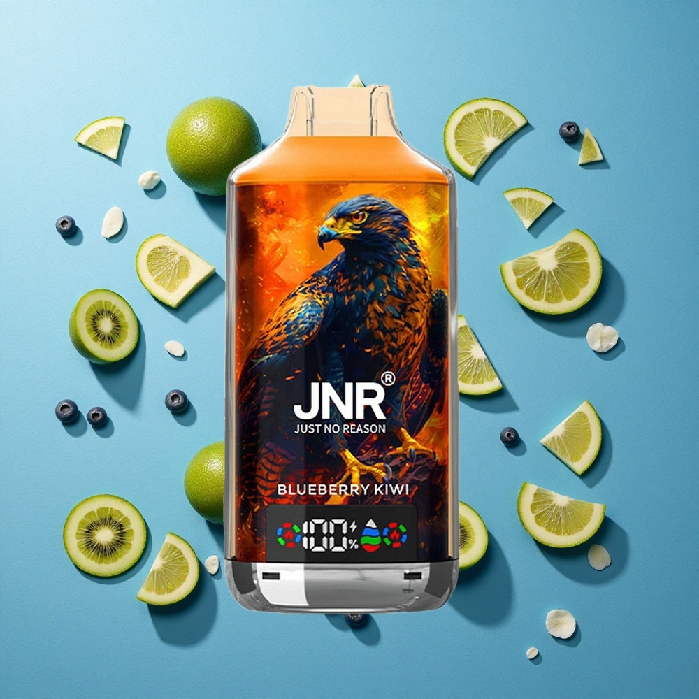 JNR Falcon X 18000 Puffs 24ml Blaubeere-Kiwi Dual-Mesh-Coil Typ-C-Schnellladung