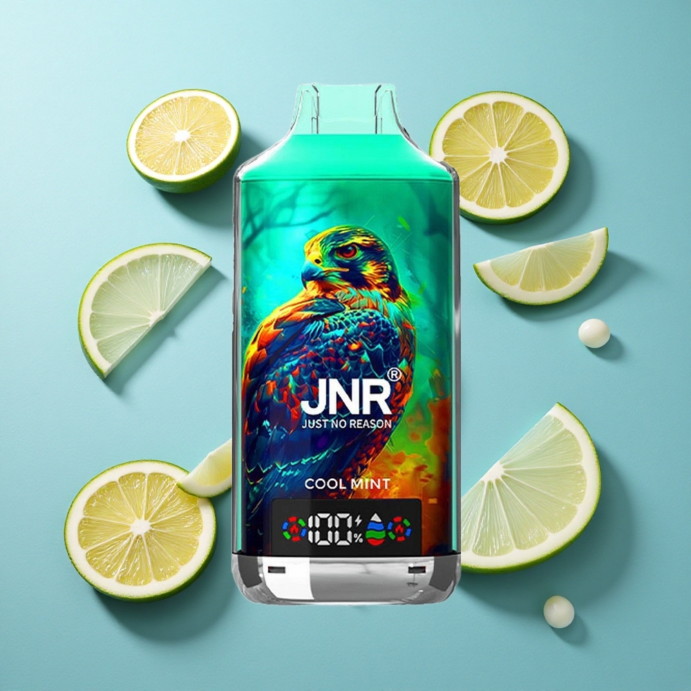 JNR Falcon X 18000 Puffs 24ml Doppel-Mesh-Spule Kühle Minze