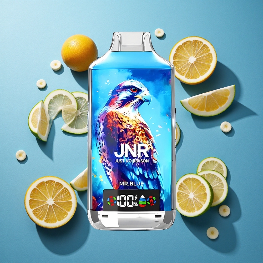 JNR Falcon X 18000 Puffs 24ml Dual Mesh Coil & Dual Core Typ-C Schnellladung Herr Blau