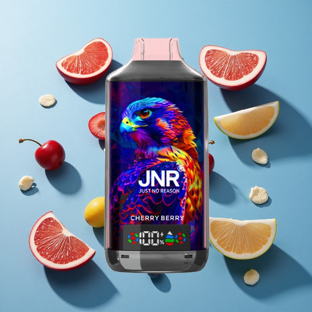 JNR Falcon X 18000 Puffs Digitalanzeige Typ-C Schnellladung Kirschbeere