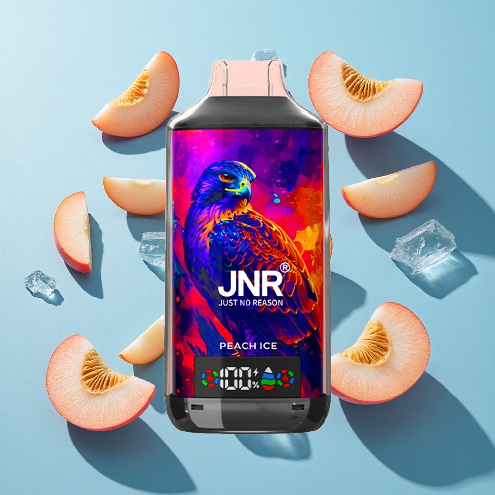 JNR Falcon X 18000 Puffs Digitale Anzeige Typ-C Schnellladung Pfirsich Eis