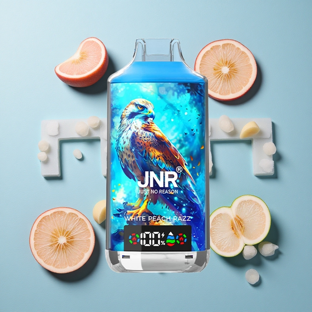 JNR Falcon X 18000 Puffs Einweg-Vape Weißer Pfirsich Razz mit 24ml E-Liquid und Dual-Mesh-Coil