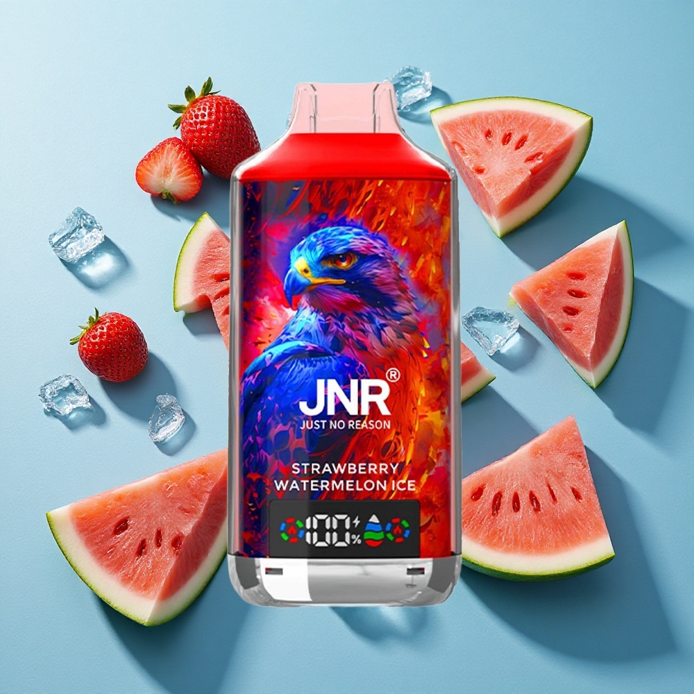 JNR Falcon X 18000 Puffs Erdbeer-Wassermelone-Eis mit 24ml E-Liquid und Dual-Mesh-Coil