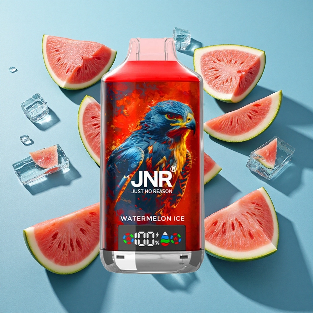 JNR Falcon X 18000 Puffs Wassermelone Eis mit 24ml E-Liquid und Dual-Mesh-Coil