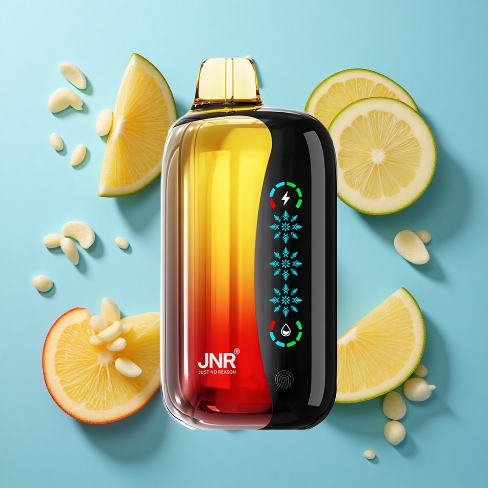 JNR Flex Ice 21000 Puffs Einweg-Vape Pfirsich Mango Ananas mit 26ml E-Liquid und 1000mAh Akku