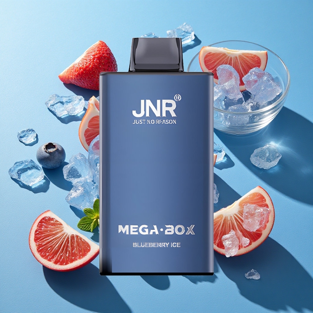 JNR Mega Box 25000 Puffs Wegwerf-Vape Blaubeer-Eis mit 30ml E-Liquid und Typ-C Schnellladung