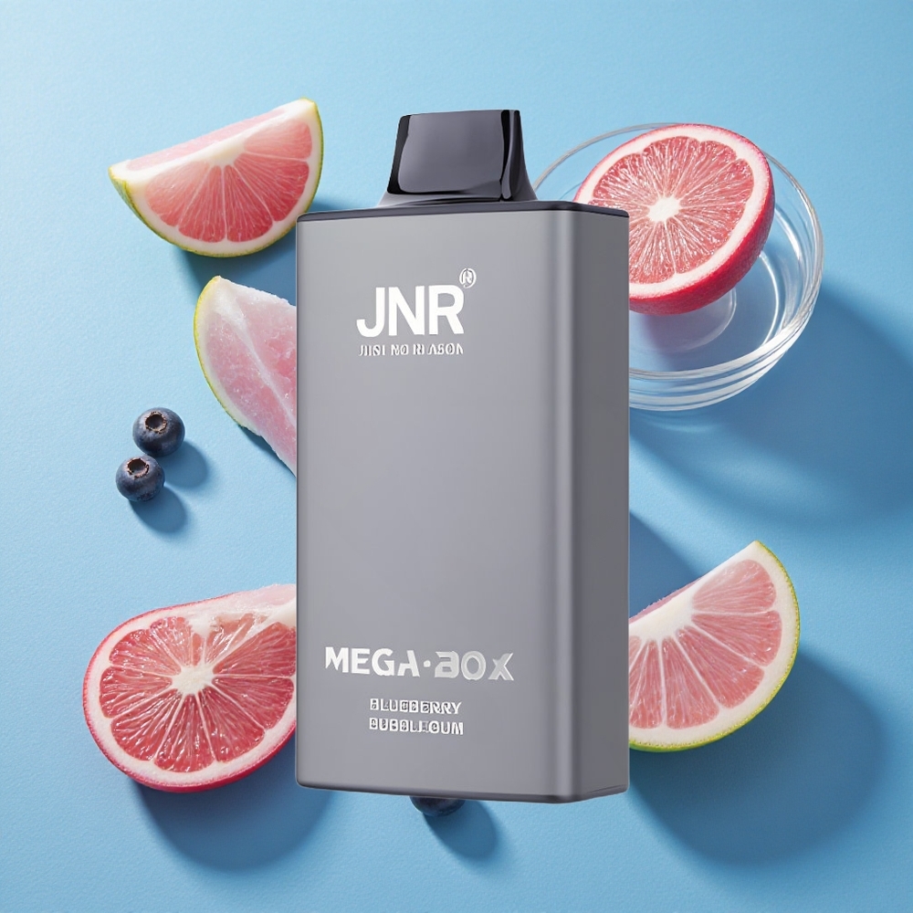 JNR Mega Box 25000 Puffs Wegwerf-Vape Blaubeere Bubblegum mit 30ml E-Liquid und Typ-C Schnellladung