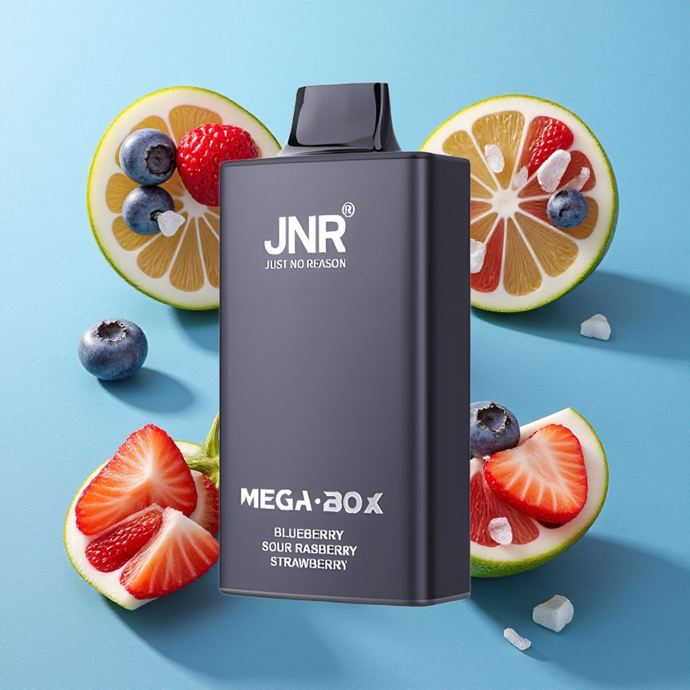 JNR Mega Box 25000 Puffs Wegwerf-Vape Blaubeere-Sauer-Himbeere-Erdbeere Dual Mesh & Dual Core