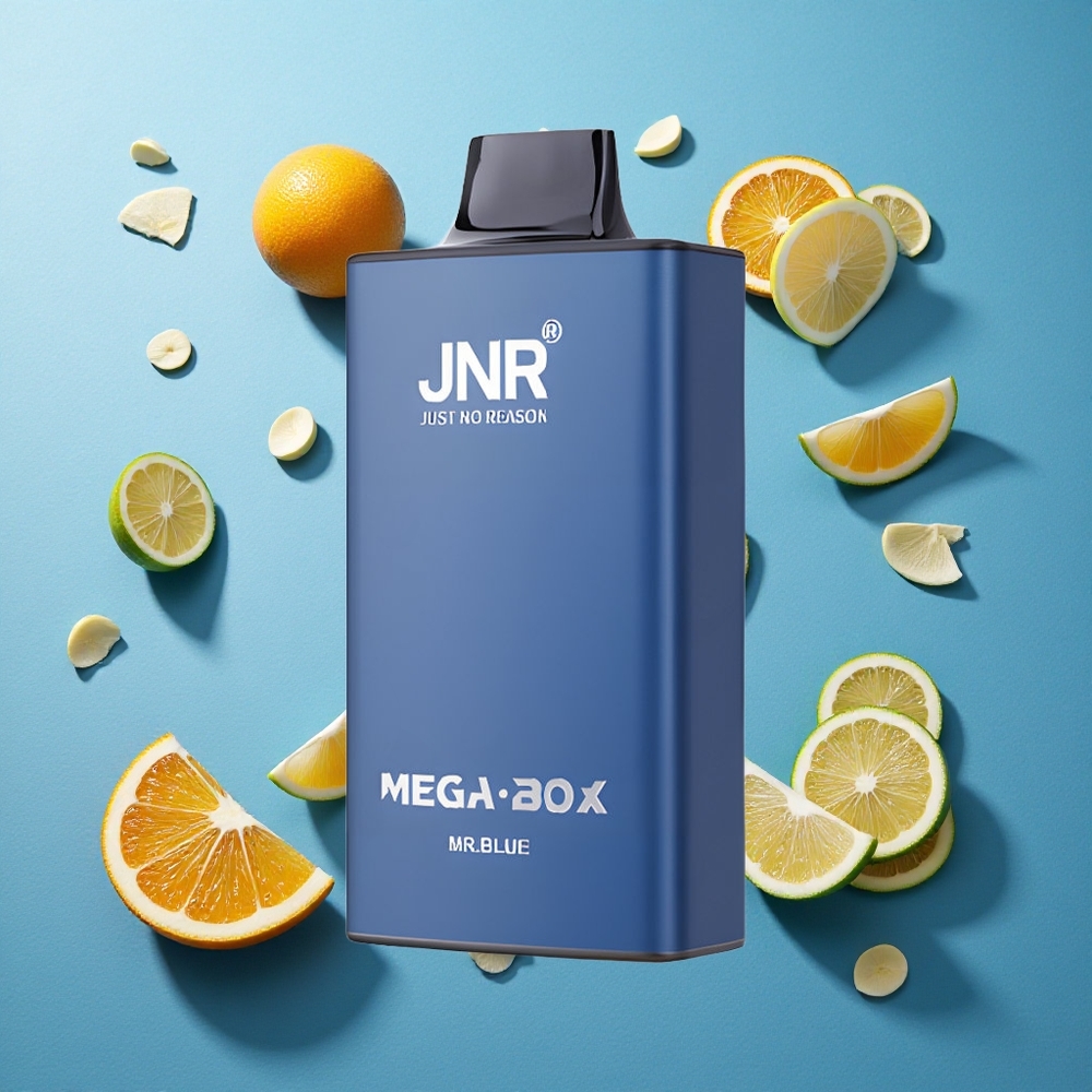 JNR Mega Box 25000 Puffs Wegwerf-Vape Herr Blau Dual Mesh Coil & Dual Core