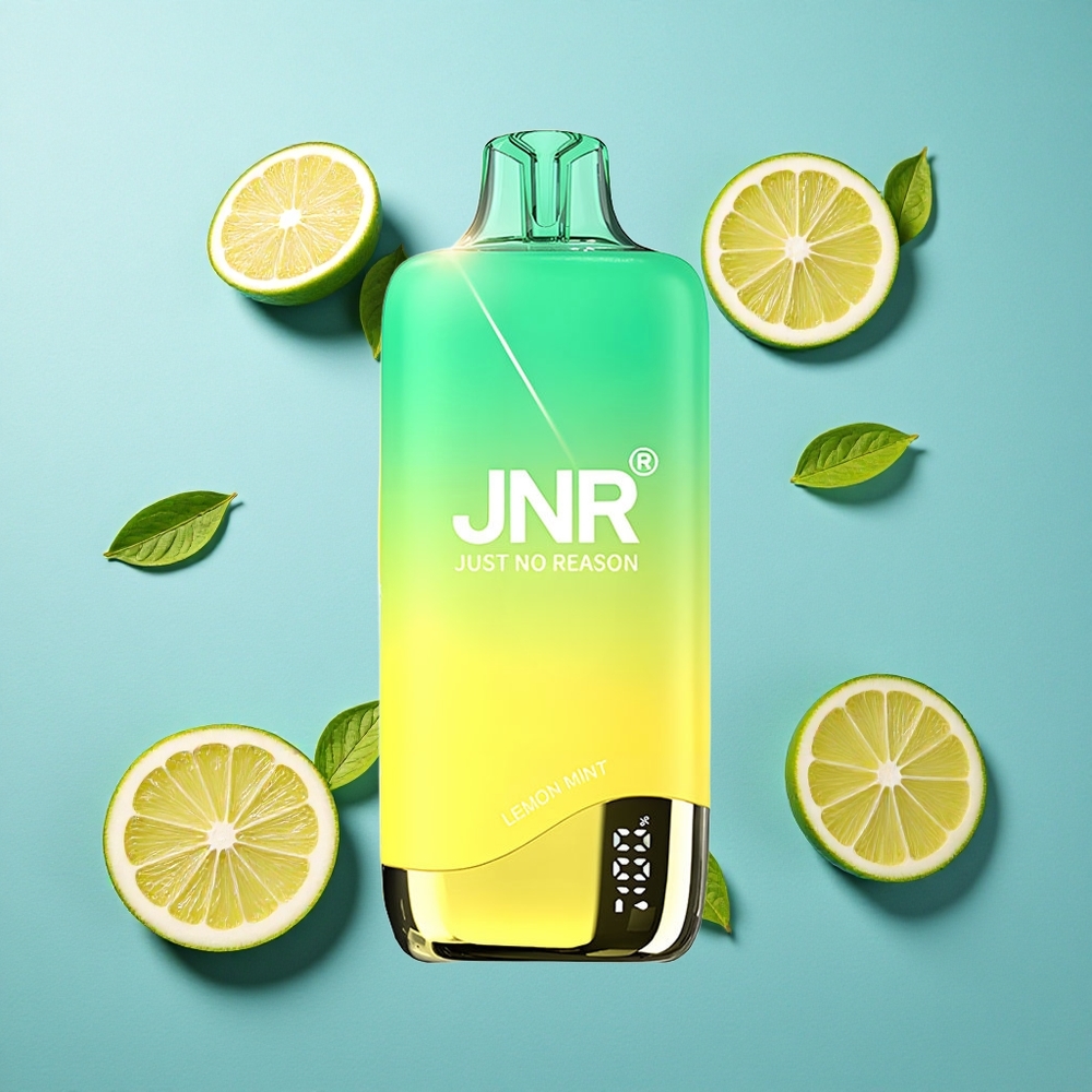 JNR Rainbow 10500 Puffs Wegwerf-Vape Zitrone Minze mit 18ml Tank und 0,8ohm Mesh Coil