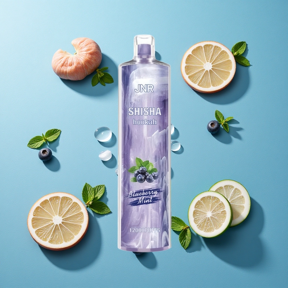 JNR Shisha Hookah 12000 Puffs 24ml Blaubeere Minze