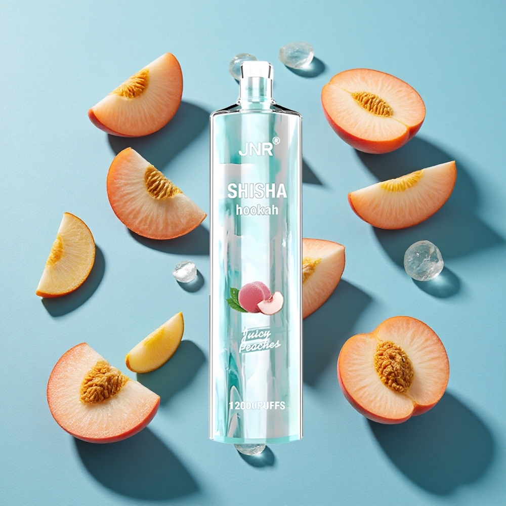 JNR Shisha Hookah 12000 Puffs 750mAh 24ml Saftige Pfirsiche