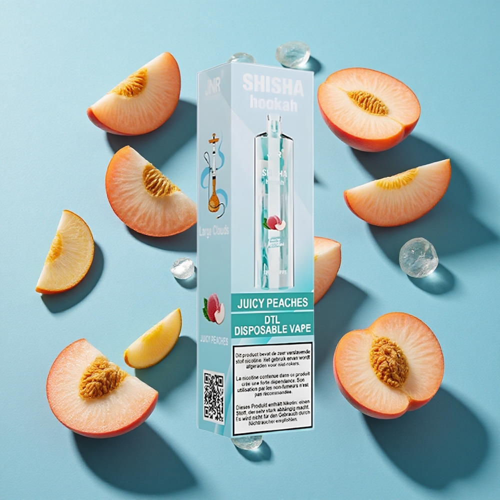 JNR Shisha Hookah 12000 Puffs 750mAh 24ml Saftige Pfirsiche