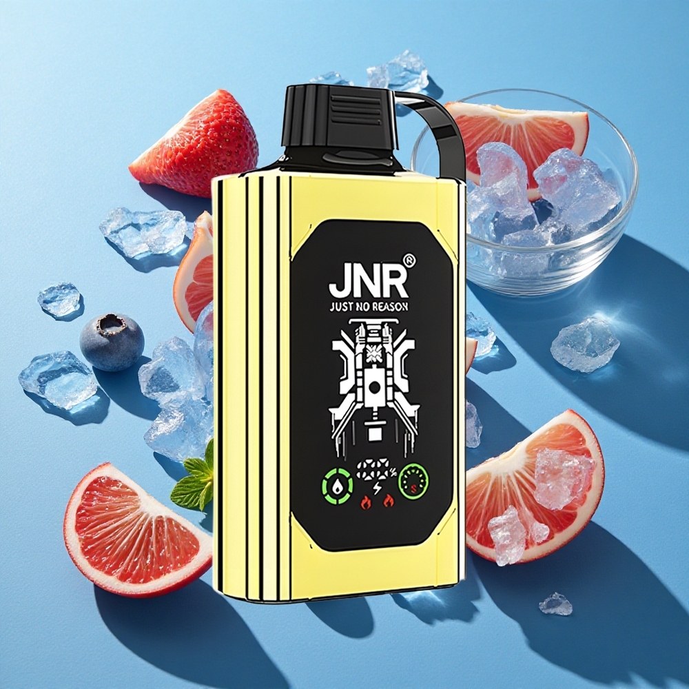 JNR Shisha Hookah Box 20500 Puffs 25ml Dual Mesh Coil Blaubeer-Eis