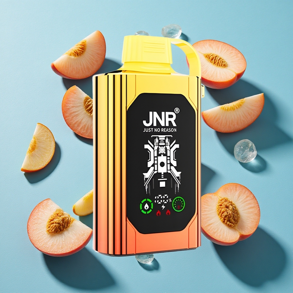 JNR Shisha Hookah Box 20500 Puffs HD Display 25ml Dual Mesh Coil & Dual Core Typ-C Schnellladung Juicy Pfirsiche