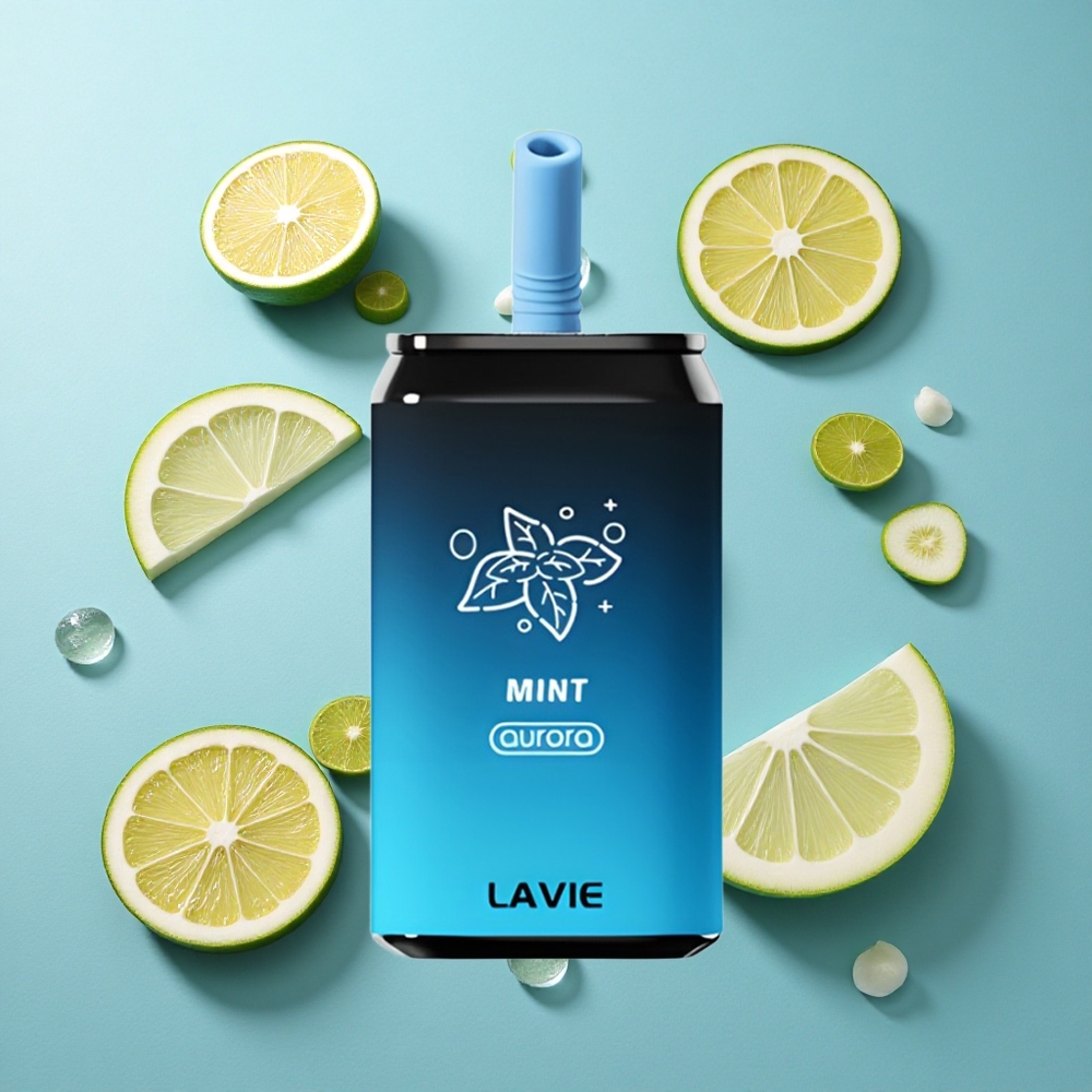 LAVIE Aurora 11000 Puffs Minze 22ML Typ C Aufladbar
