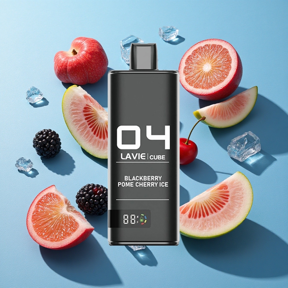 Lavie Cube 20000 Puffs Einweg Vape Brombeere Granatapfel Eis