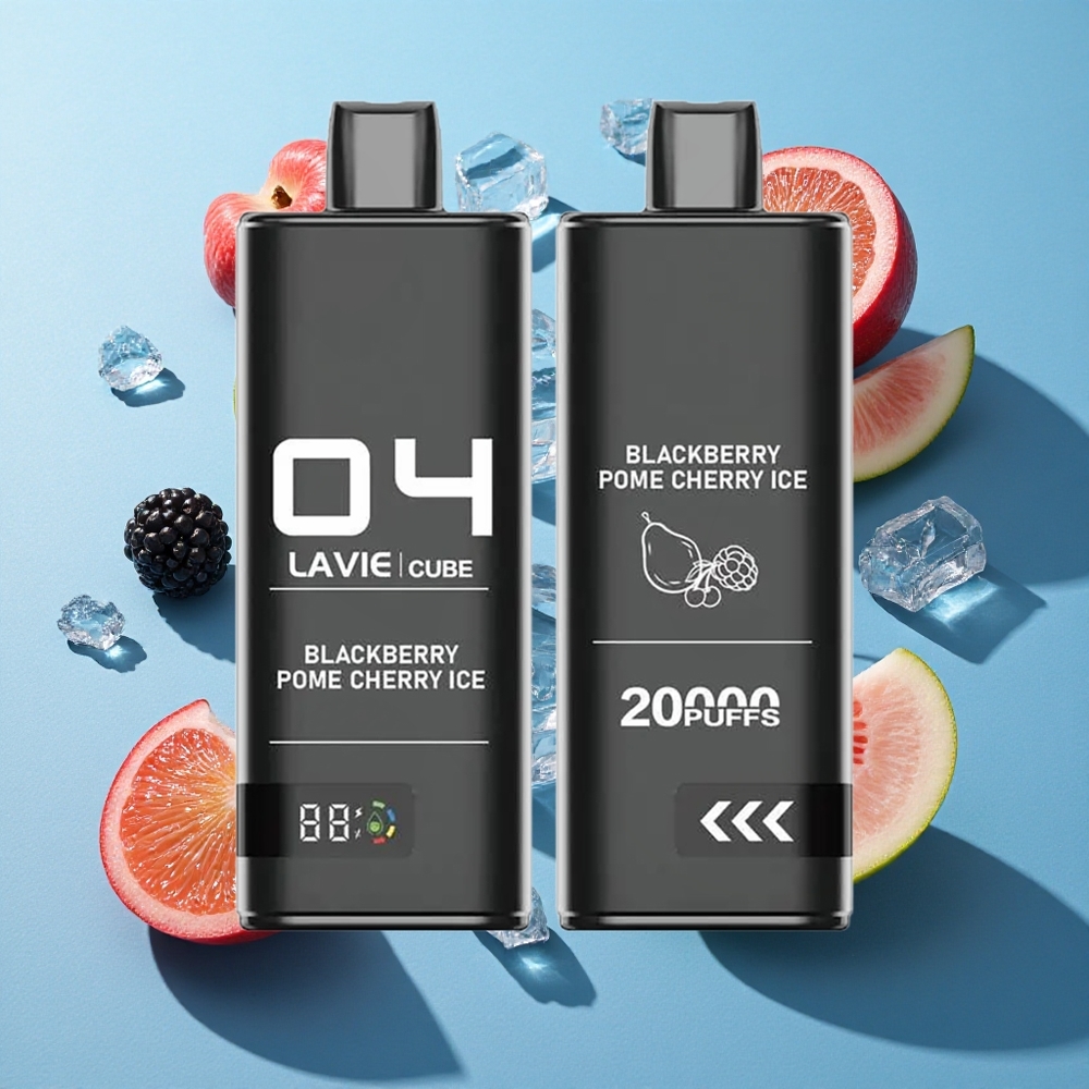 Lavie Cube 20000 Puffs Einweg Vape Brombeere Granatapfel Eis