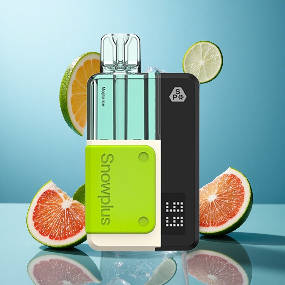 Snowplus Swift 5000 Puffs Doppelmesh 1000 mAh Mojito Eis