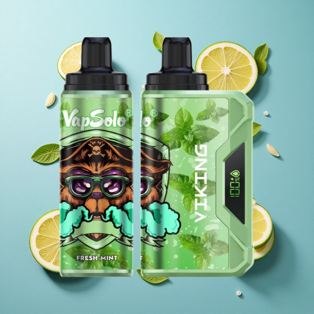 VapSolo VIKING 12000 Puffs Frische Minze mit 22ml E-Liquid und Typ-C-Ladung