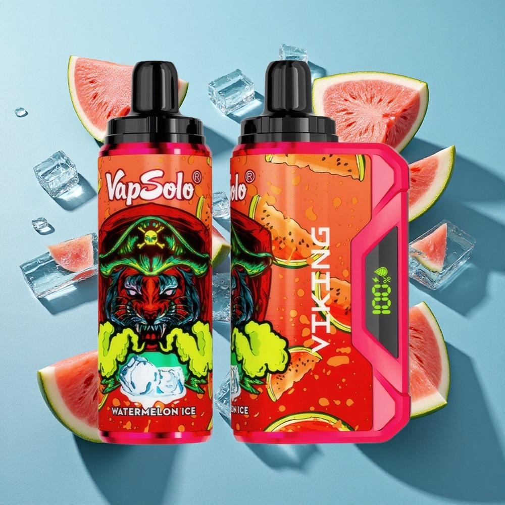 VapSolo VIKING 12000 Puffs Wegwerf-Vape Wassermelone-Eis mit 22ml E-Liquid und Typ-C-Ladung