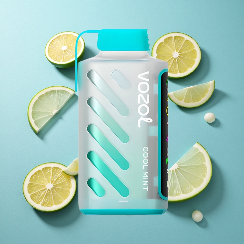 VOZOL Gear Power 20000 Puffs Dual Mesh Coil Vollbildschirm Minze Frisch