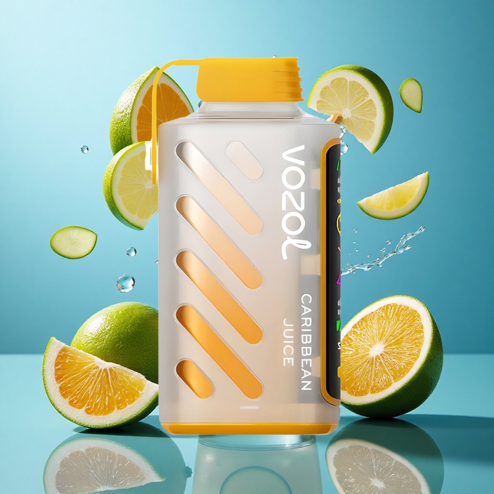 VOZOL Gear Power 20000 Puffs Karibik-Saft Dual Mesh Coil Einweg-Vape