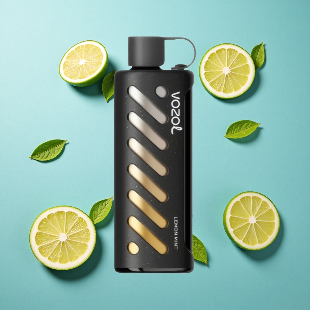 VOZOL Gear Shisha 25000 Puffs Doppel-Mesh-Technologie Zitrone-Minze