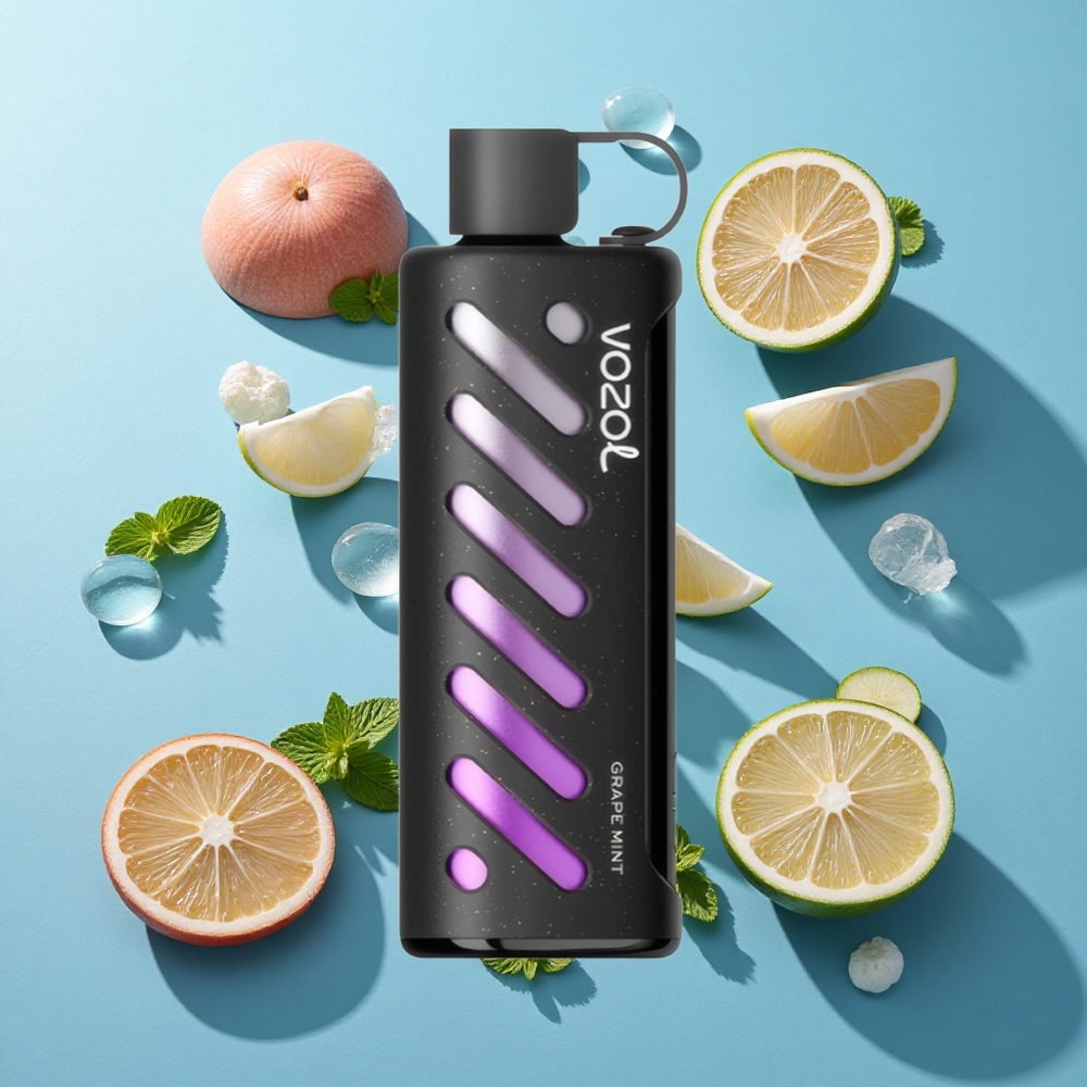 VOZOL Gear Shisha 25000 Puffs Dual Mesh Dual Modes Grape Minze