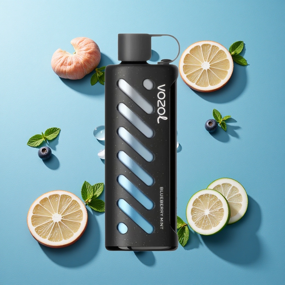 VOZOL Gear Shisha 25000 Puffs Duale Modi Blaubeere Minze