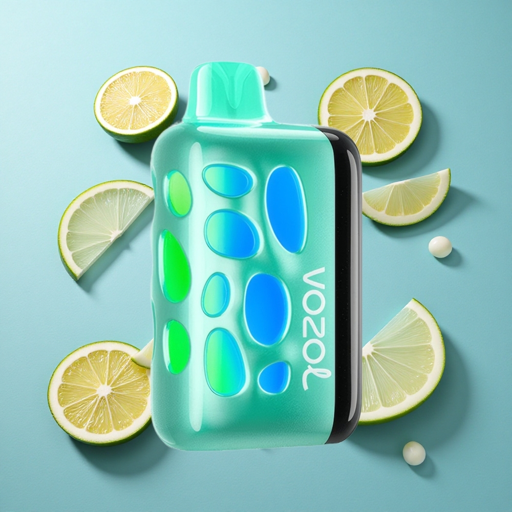 VOZOL RAVE 40000 Einweg-Vape Kühle Minze mit 1000mAh Akku und 270° Leuchtendem Design