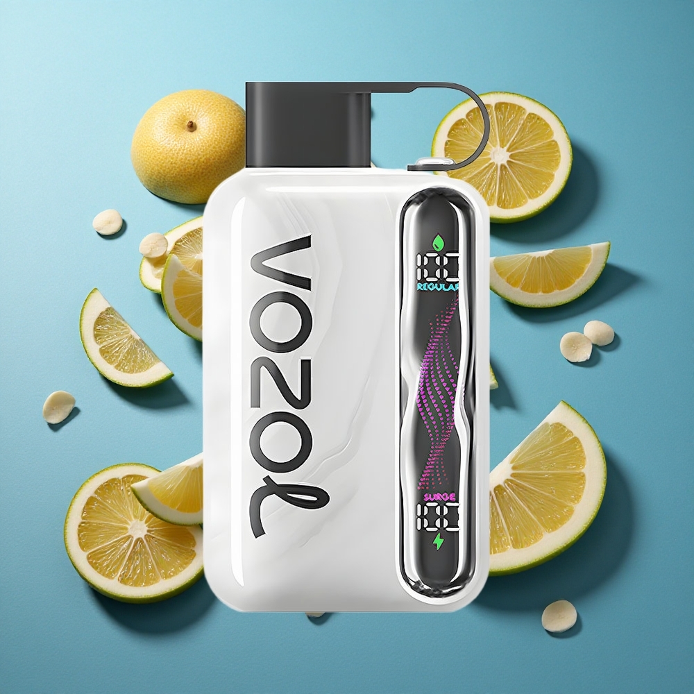 VOZOL STAR 40000 Puffs 1000mAh Tabak Einweg-Vape