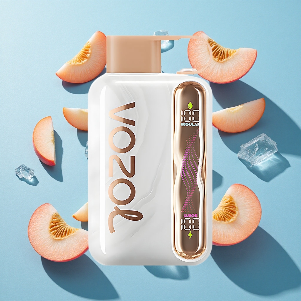 VOZOL STAR 40000 Puffs 1000mAh Typ-C Pfirsich-Eis