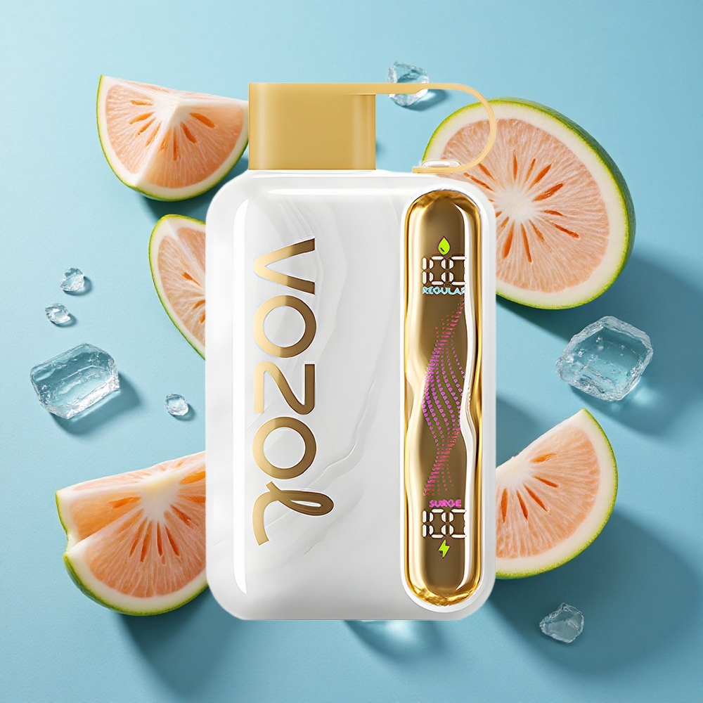 VOZOL STAR 40000 Puffs Einweg-Vape Melone-Eis mit 1000mAh Akku und Typ-C-Ladeanschluss