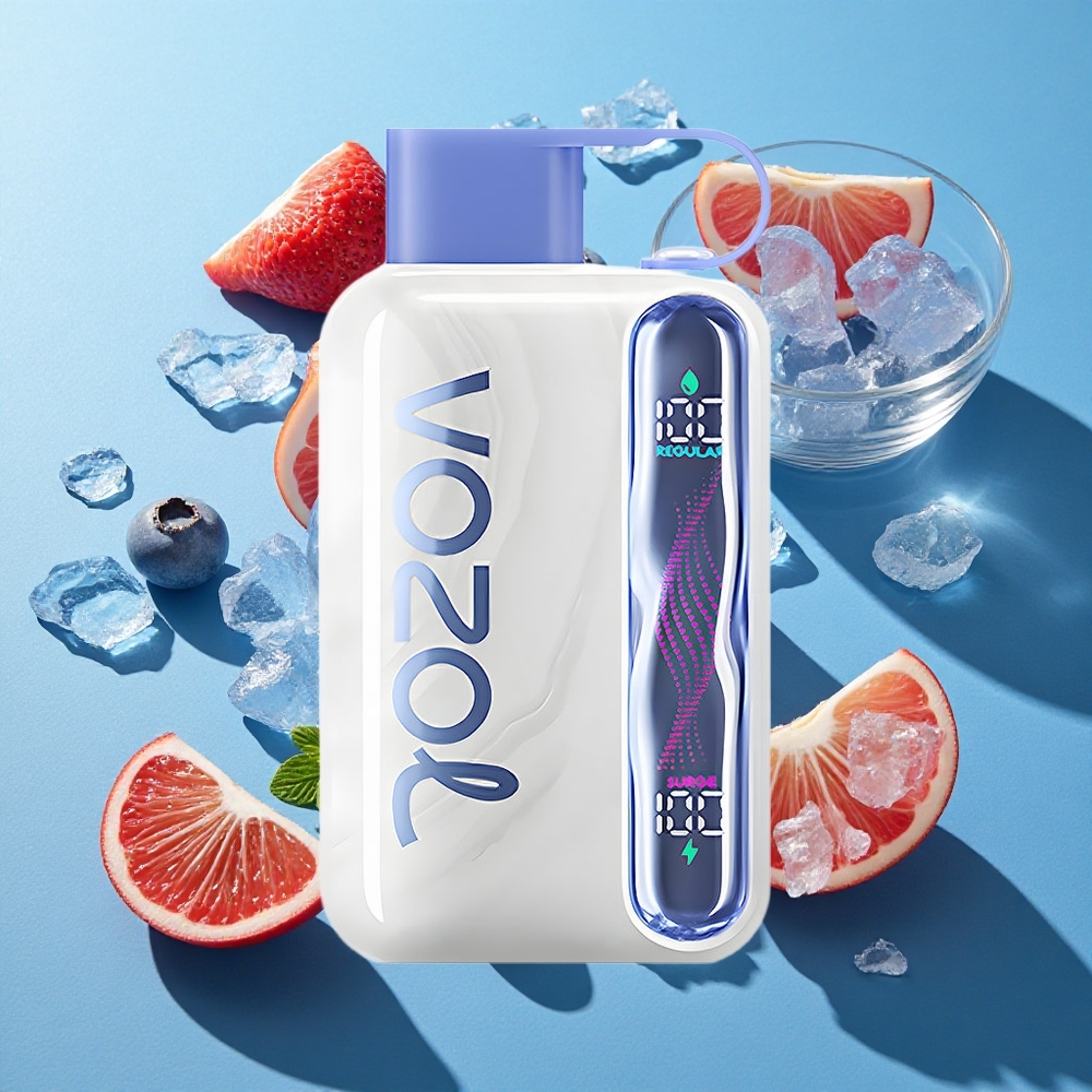VOZOL STAR 40000 Puffs Wegwerf-Vape Blaubeer-Eis mit 1000mAh Akku und Typ-C-Ladeanschluss